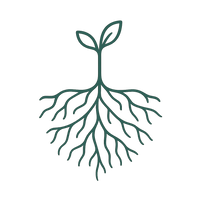 Looking for root-cause solutions, not symptom management