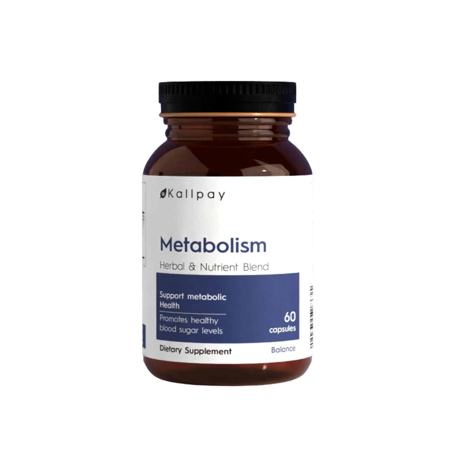 Metabolismo